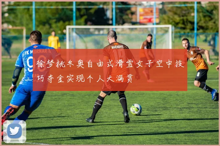 徐梦桃冬奥自由式滑雪女子空中技巧夺金实现个人大满贯