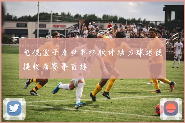 电视盒子看世界杯软件助力球迷便捷收看赛事直播