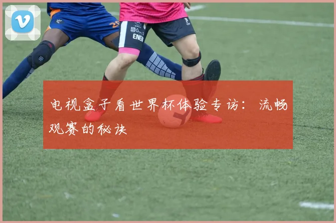 电视盒子看世界杯体验专访：流畅观赛的秘诀